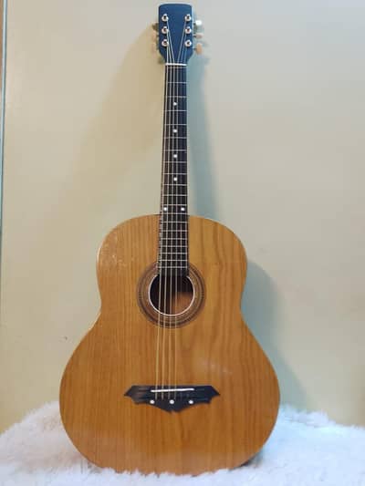Customized Acoustic Guitar