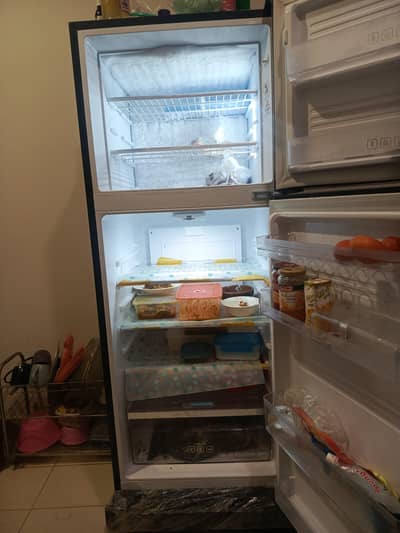 Kenwood Refrigerator