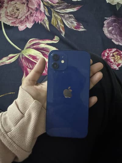 iPhone 12 | Blue Color | 128 GB