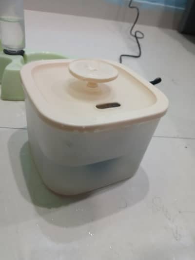 water fountain for cats