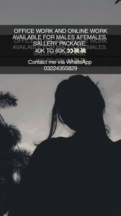 OFFICE WORK AND ONLINE WORK AVAILABLE FOR MALES AND FEMALES