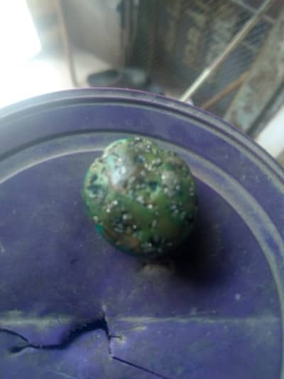 original hussani feroza big size