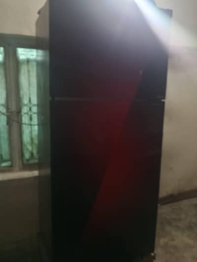 only=1year old  refrigerator 10/10 condition