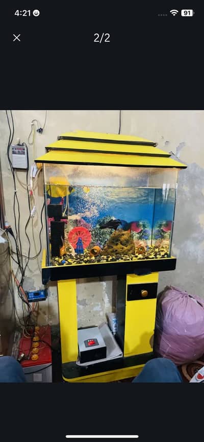 Aquarium with fish & accessories
