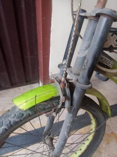 Beautiful green cycle