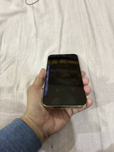 iPhone 13 Pro Max 128 gb Jv