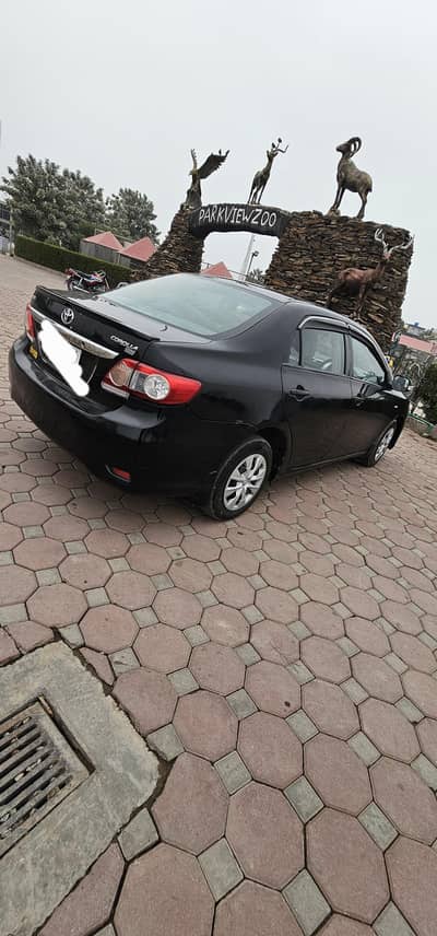 corolla xli
