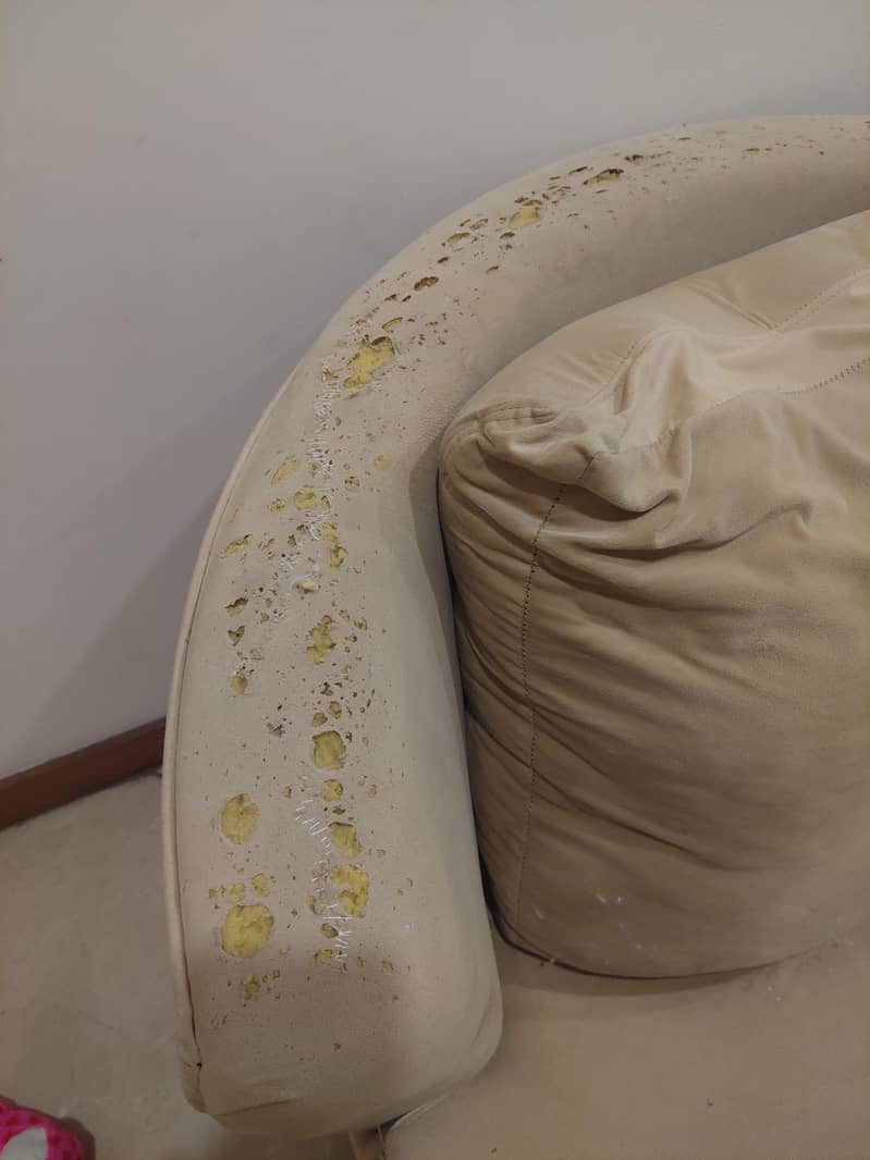 Used Single Sofa 7