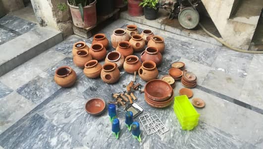 maqtai,mati plate,feeder,plaste,koli,dhakan,1 clock room temperature