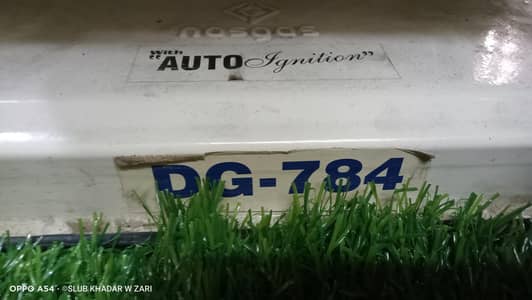 Nasgas Heater Gass Electric Dual