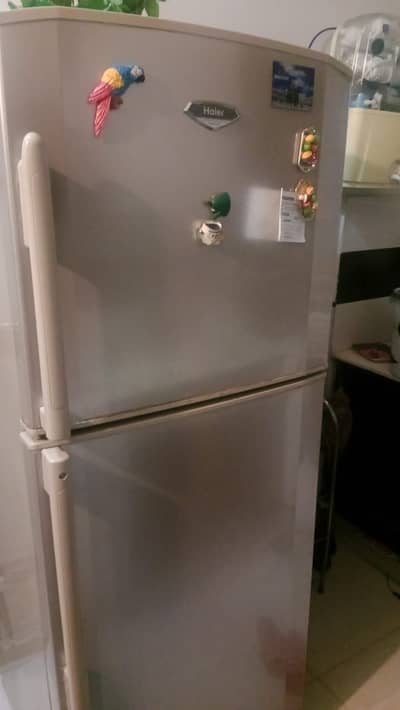 Home use fridge