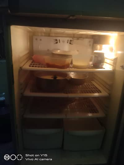 Large Pel Refrigerator