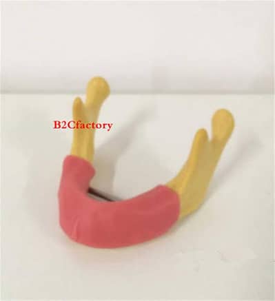 Need Dental Assistant.