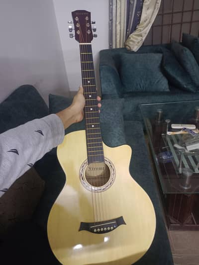 acoustic guitar