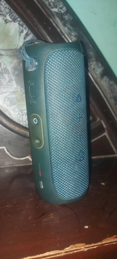 WhatsApp number 03119594594