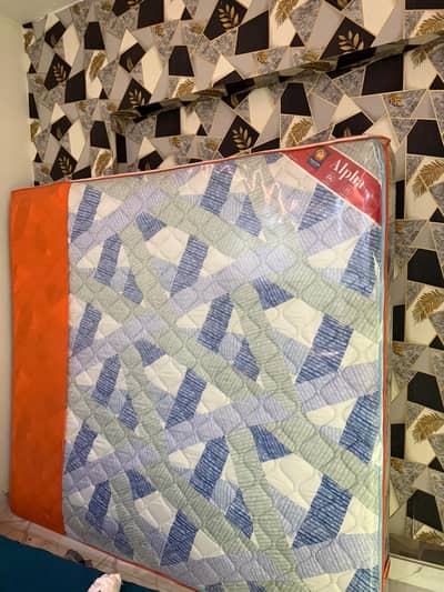 Molty foam Spring mattress