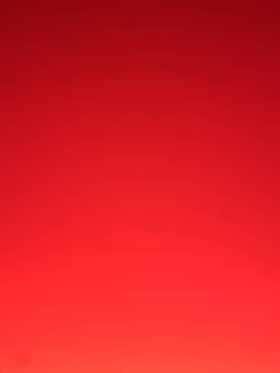 Restuarant Accountant