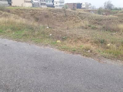 Main east service road corner 30x60 plot extra land plot