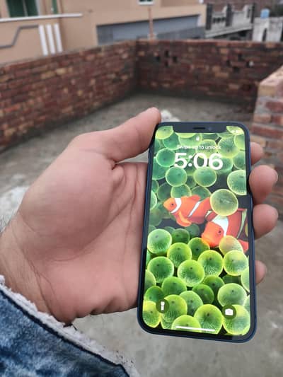 iphone 12 mini condition 10/9