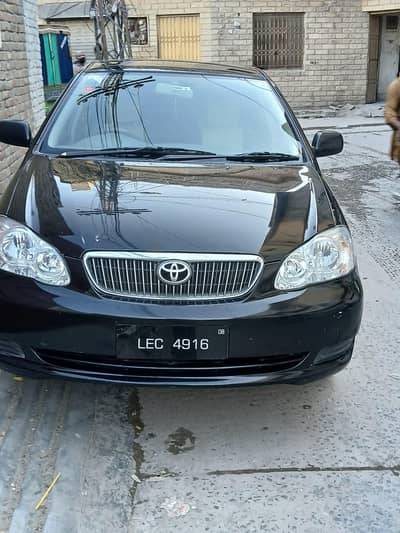 lush  condition  xli