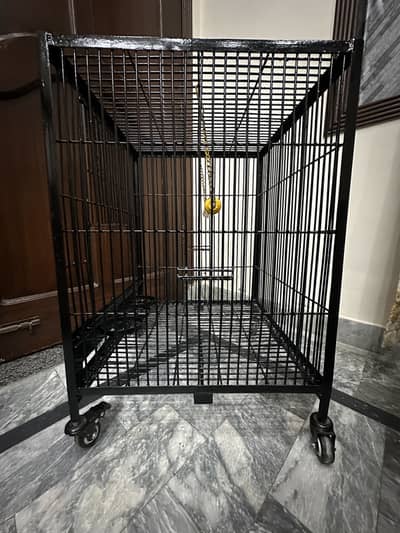 Cage For Sale