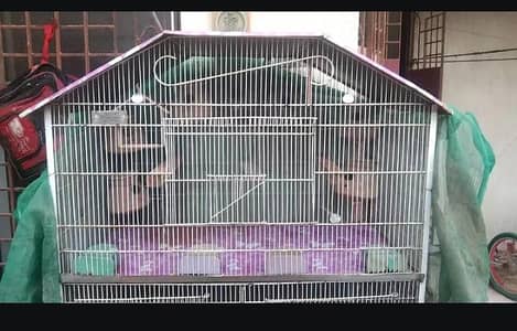 Urgent Sell 5 portion Cage