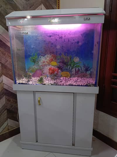 Glass Fish Aquarium Tank  (No Fish)