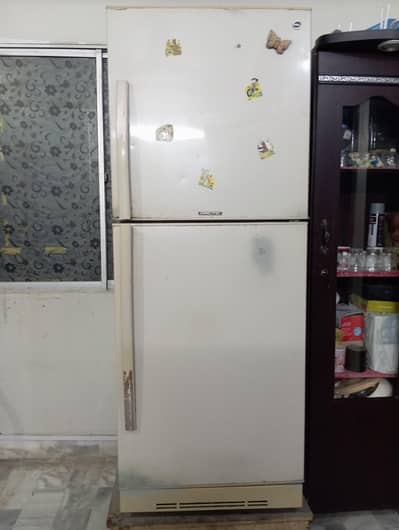 PEL Refrigerator Full Size for sale