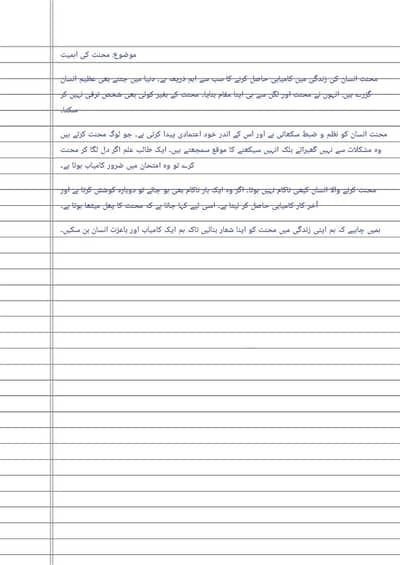Neat Urdu Handwriting Assignment Writing Servic