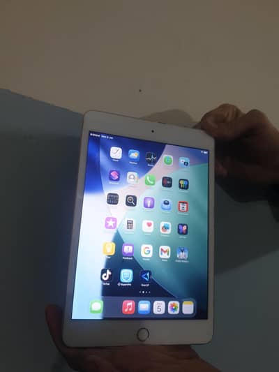 ipad mine5