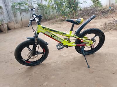 sports phoenix cycle