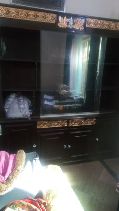 showcases just few days buy