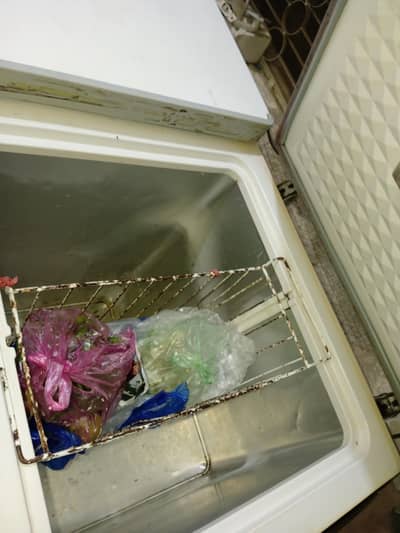 full size freezer for sale