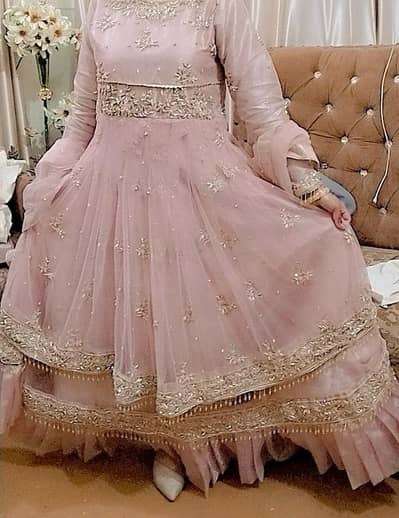 double frok full flyerr