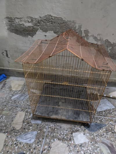 Birds Cage | Parrot | Pigeon | Hen | Puppy