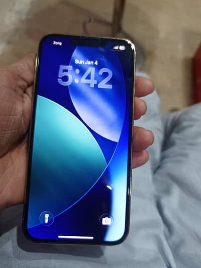 iPhone 13 pro golden PTA approved