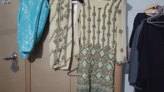 skin and ferozi embroidery dress