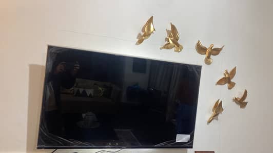 43 inches Haier Smart android TV with cotton and accessories