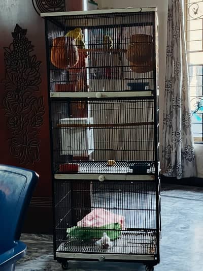 Parrots Cage Available for sale