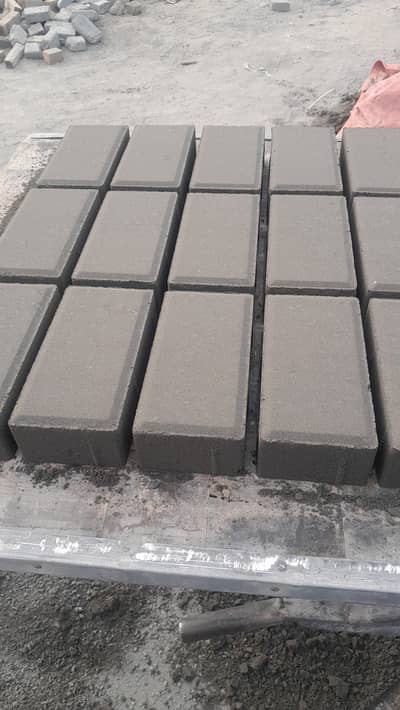 We have all kind of pavers.