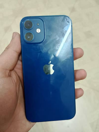 iPhone 12 Mini Panel Change