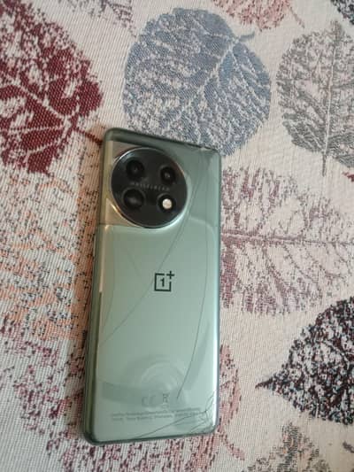 One plus 11 Storage (256/16+4GB Extended)