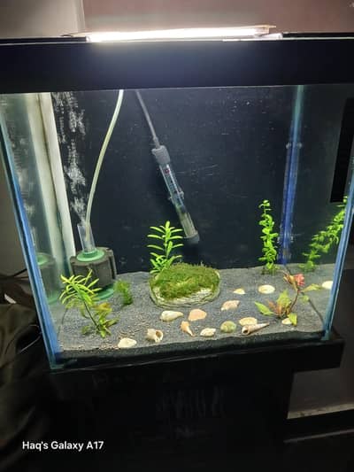 2 Aquriums for Sale 1ft and 1.5ft