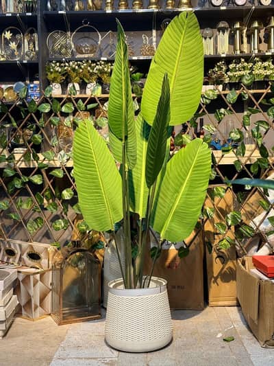 ARTIFICIAL BANANA PLANTS
