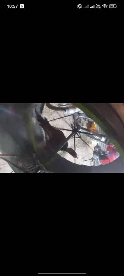 Aseel training machine