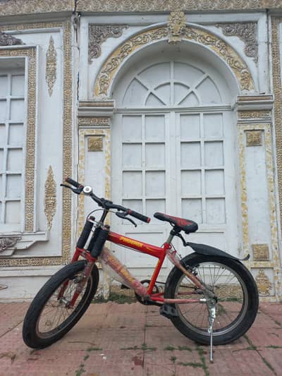 PHOENIX HTC OVAL bicycle (new)