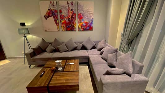 Pr day 2 BHK luxury furniture apartment Stay Daily basis