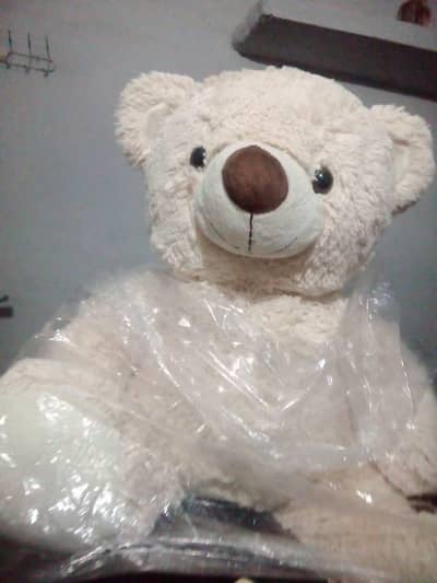 panda for sale new hai