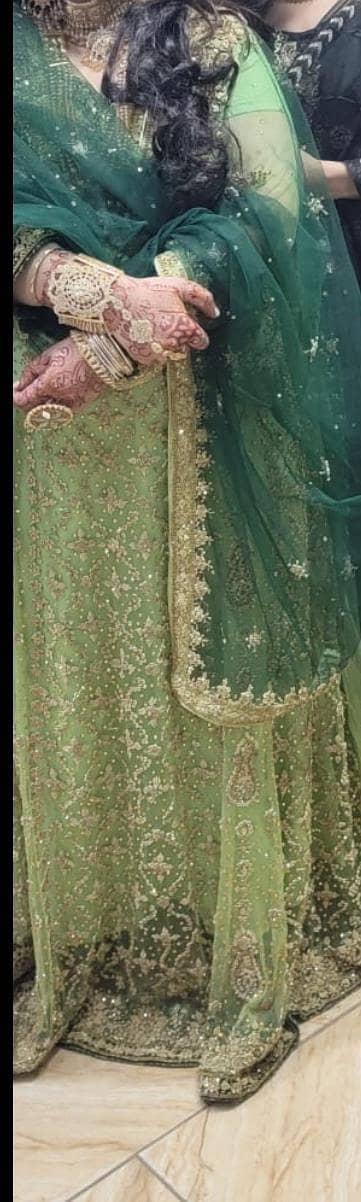 medium to large size