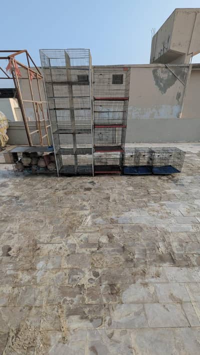 new cages with all trays